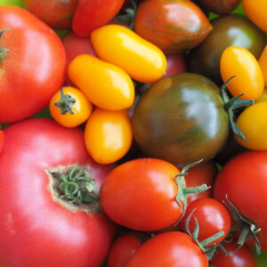 Angebot Tomaten Mix 1,5kg